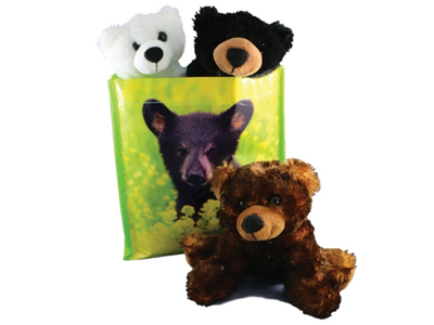 bear bundle