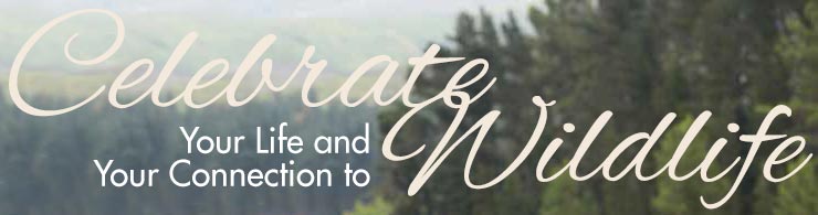 planned giving header