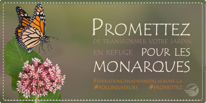 monarch pledge button fr