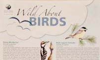 wild about birds 200