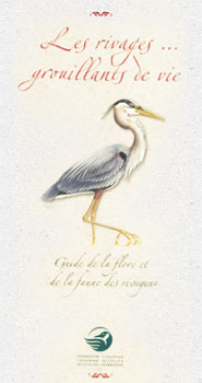 Les rivafes ... grouillants de vie