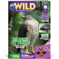 wild current issue