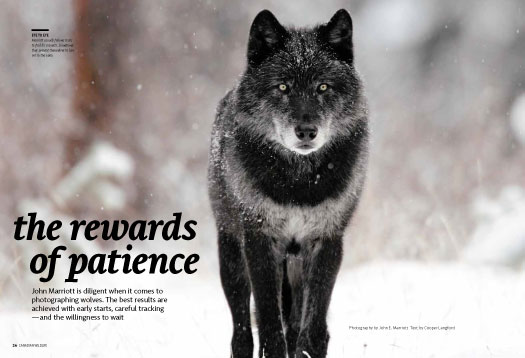 The Rewards of Patience 525