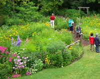 A successful garden
