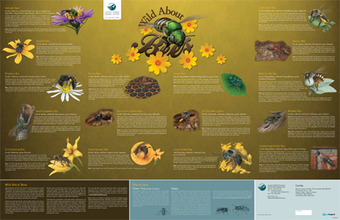 bee poster