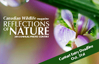 Reflections of nature contest logo