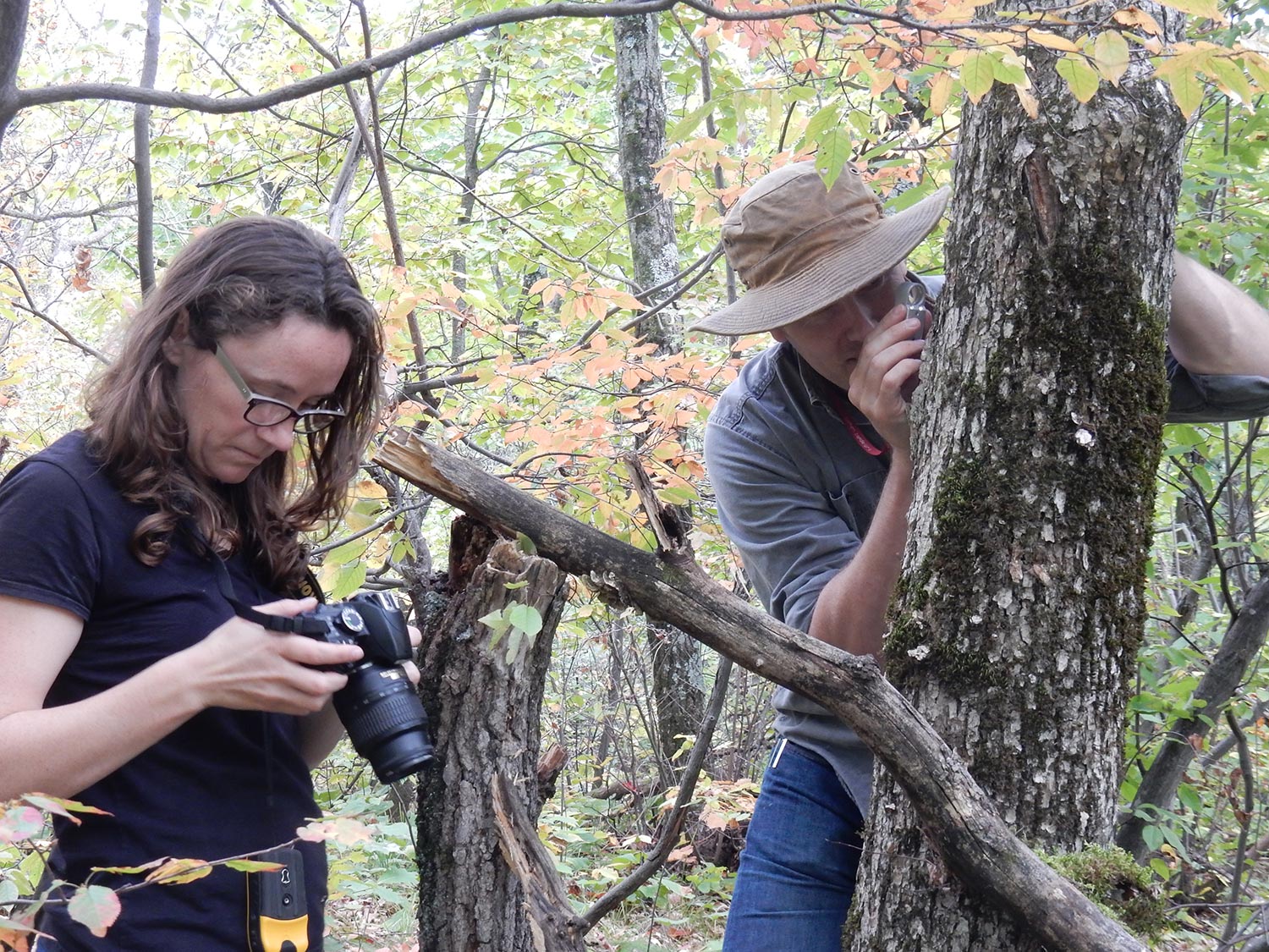 Frost Lichen scientists