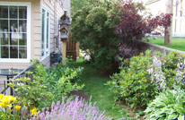 backyard habitat
