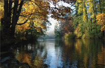 Freshwater