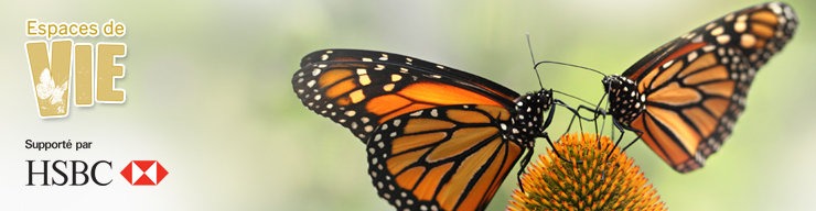 wild spaces header fr hsbc