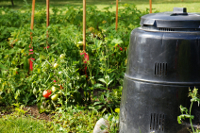 composter in vegetable garden