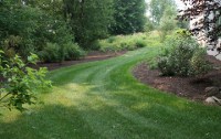 CWF lawn