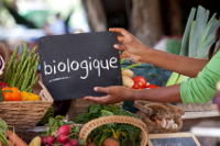 jardinage biologique organic