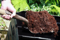 compost is a great soil amendment and fertilizer