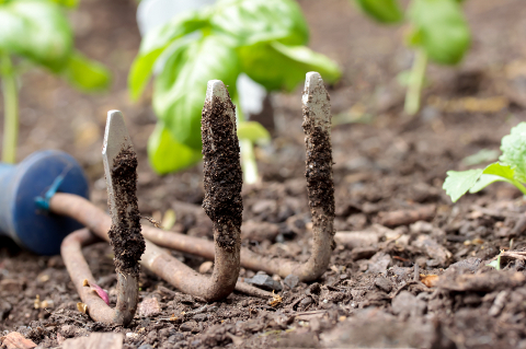 garden tool