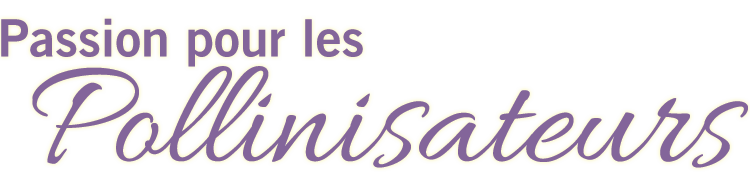 Passion pour les pollinisateurs title