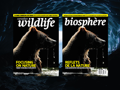 canadian wildlife magazine