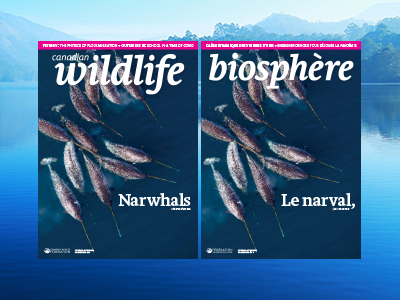 bio and wildlife magazine