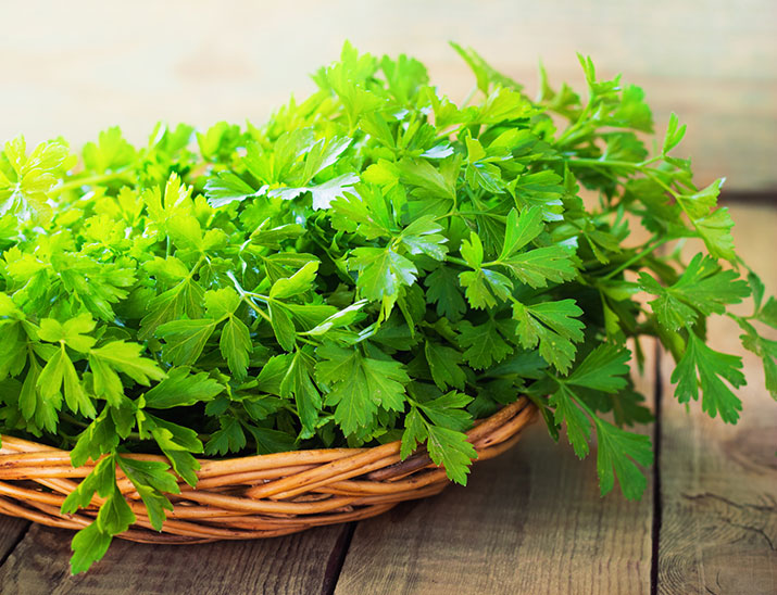 Basket of fresh herbs