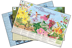 Wild about posters FR collage