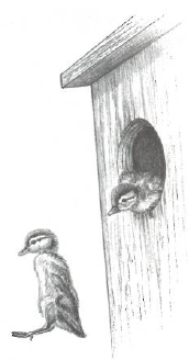 Img30