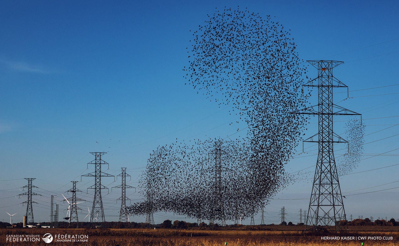 Urban Interaction | Honourable Mention
