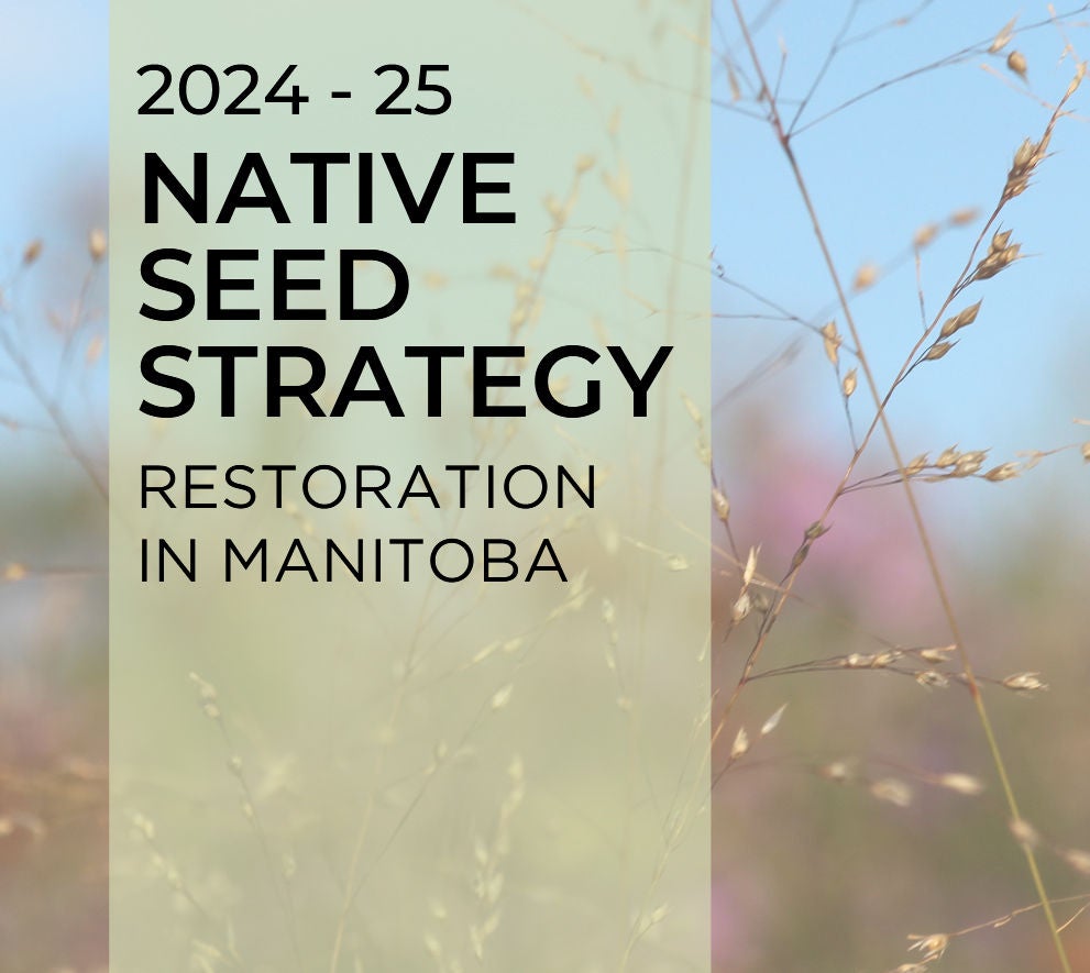 Native Seed Strategy
