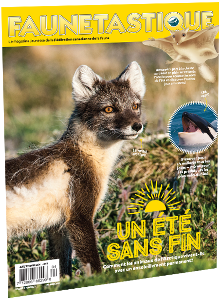 couverture faunetastique