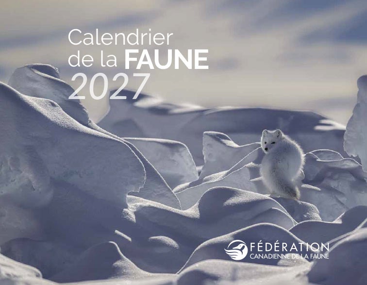 wildlife calendar