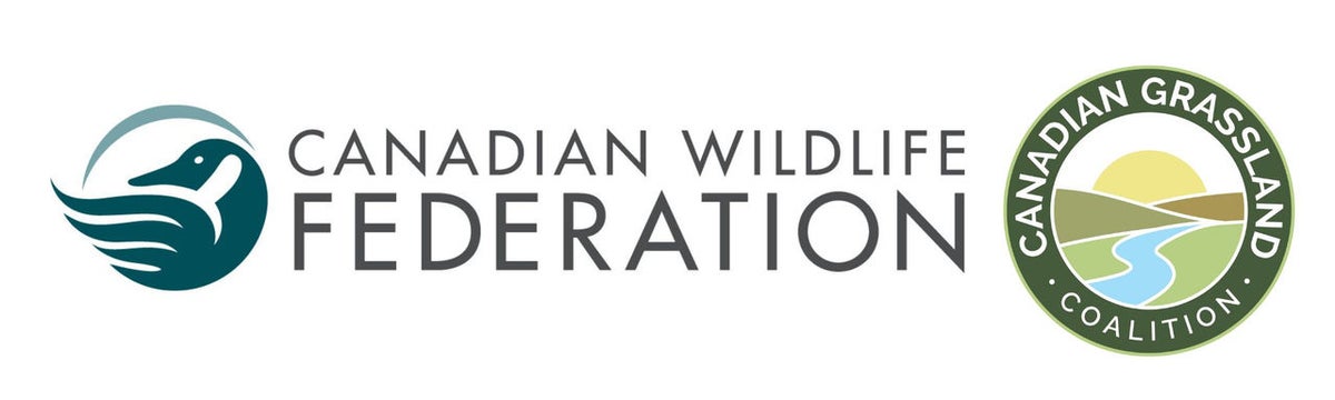 Canadian Wildlife Federation: CWF and Partners Showcase Secret Life of ...