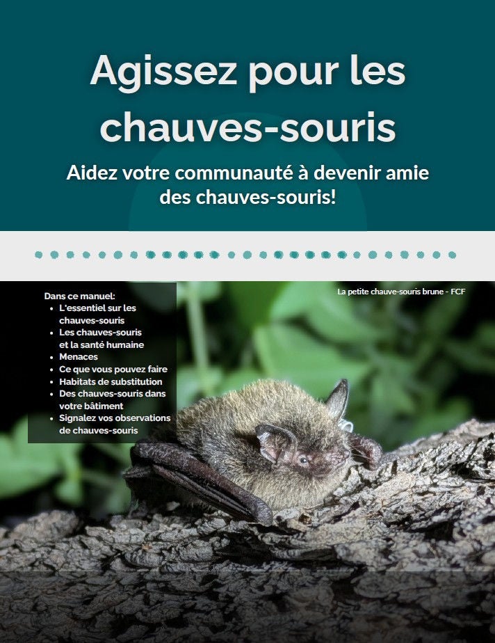 Agissez pour les chauves-souris