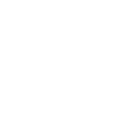 download icon