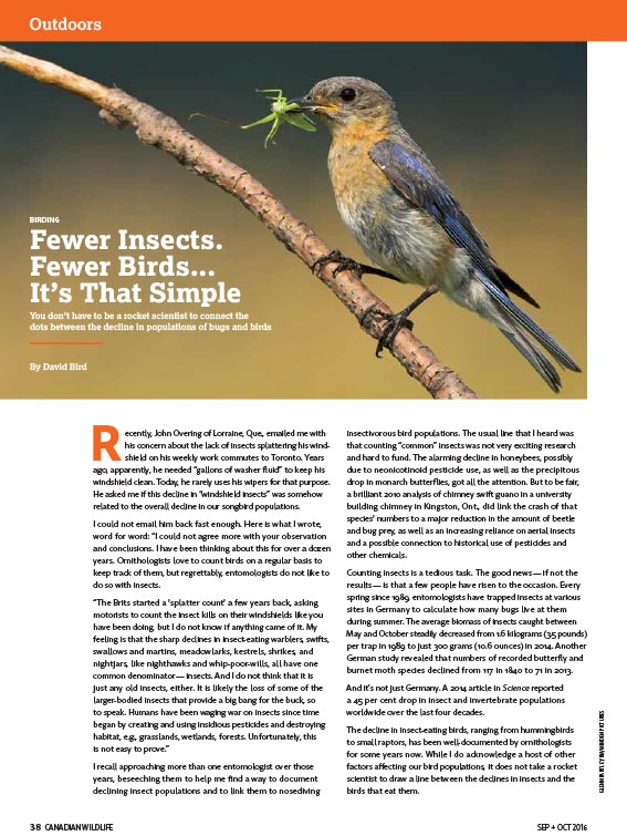 Canadian Wildlife Federation: Fewer Insects. Fewer Birds... It’s That ...