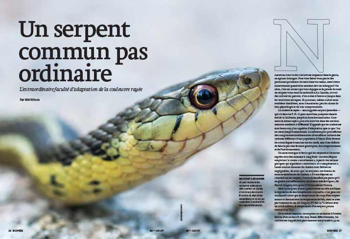 Article image with photo of a snake
