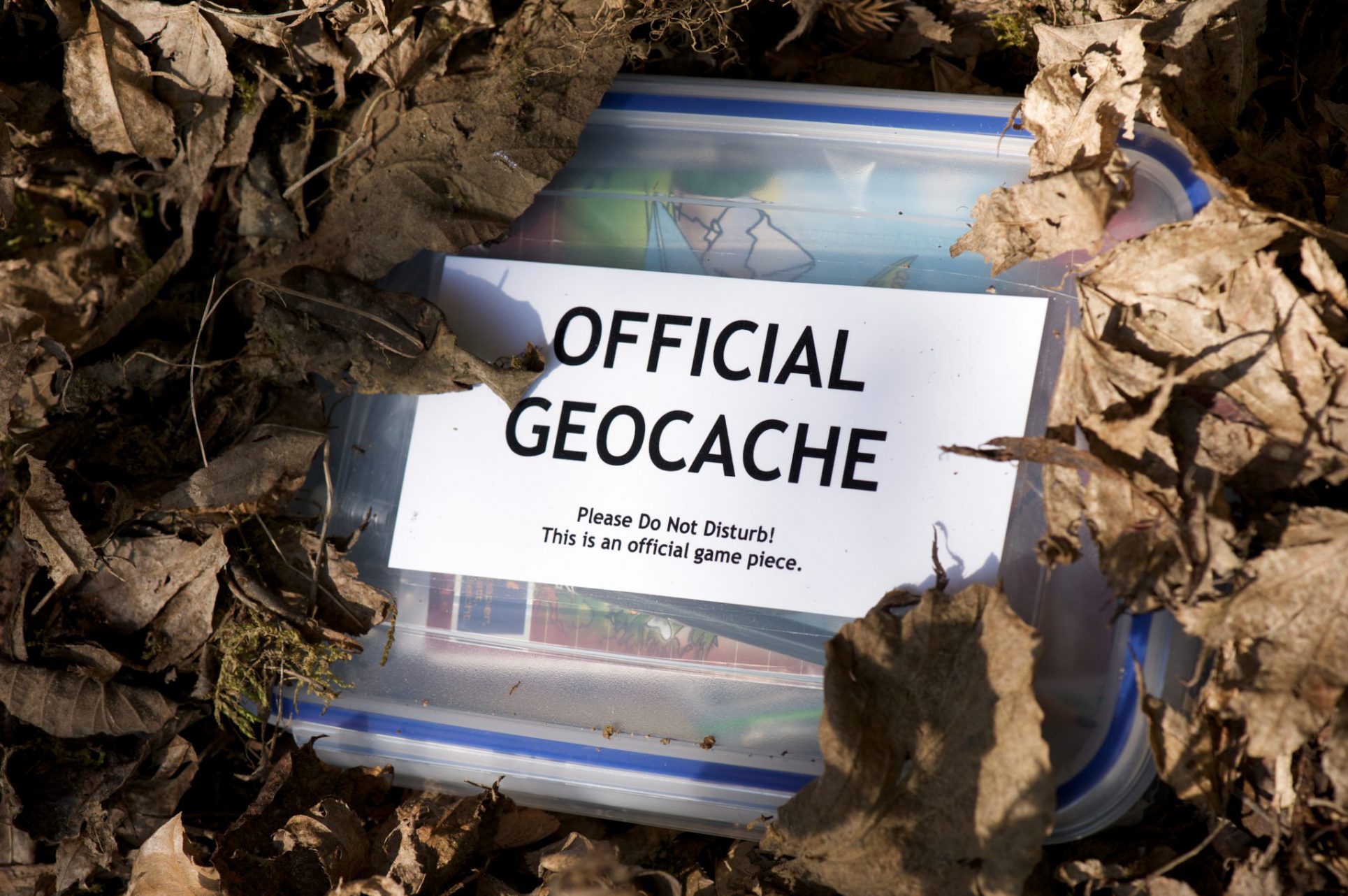 geocache