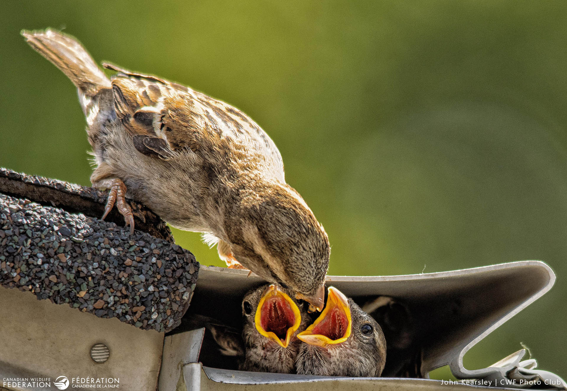 April - New Beginnings