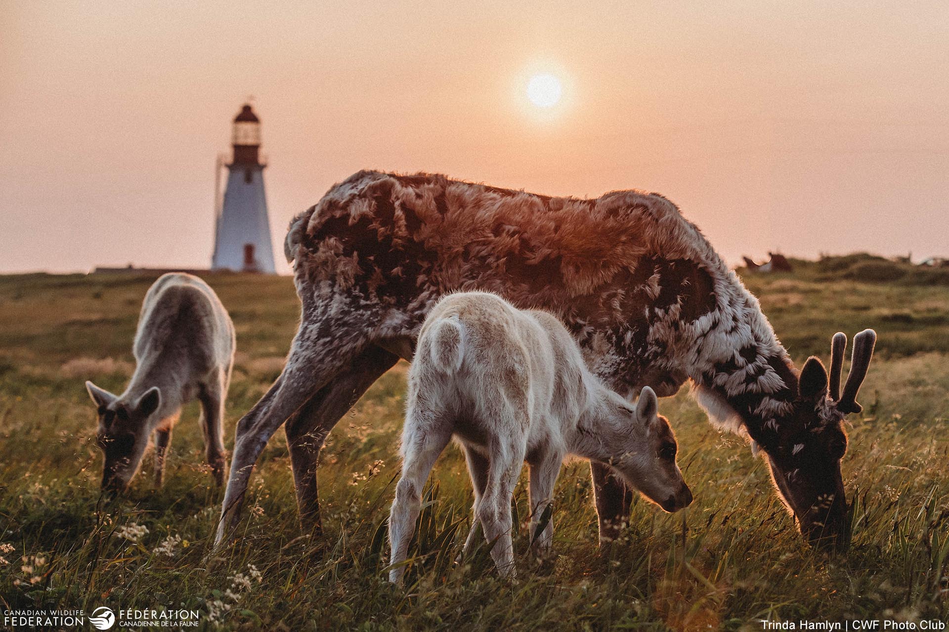 September - Migration