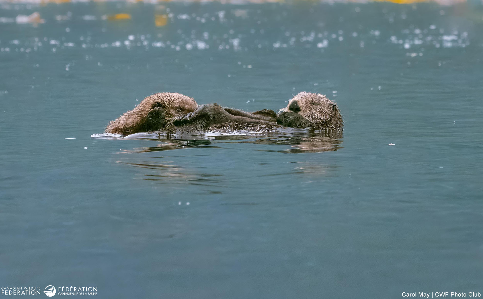 December - The Big Sleep