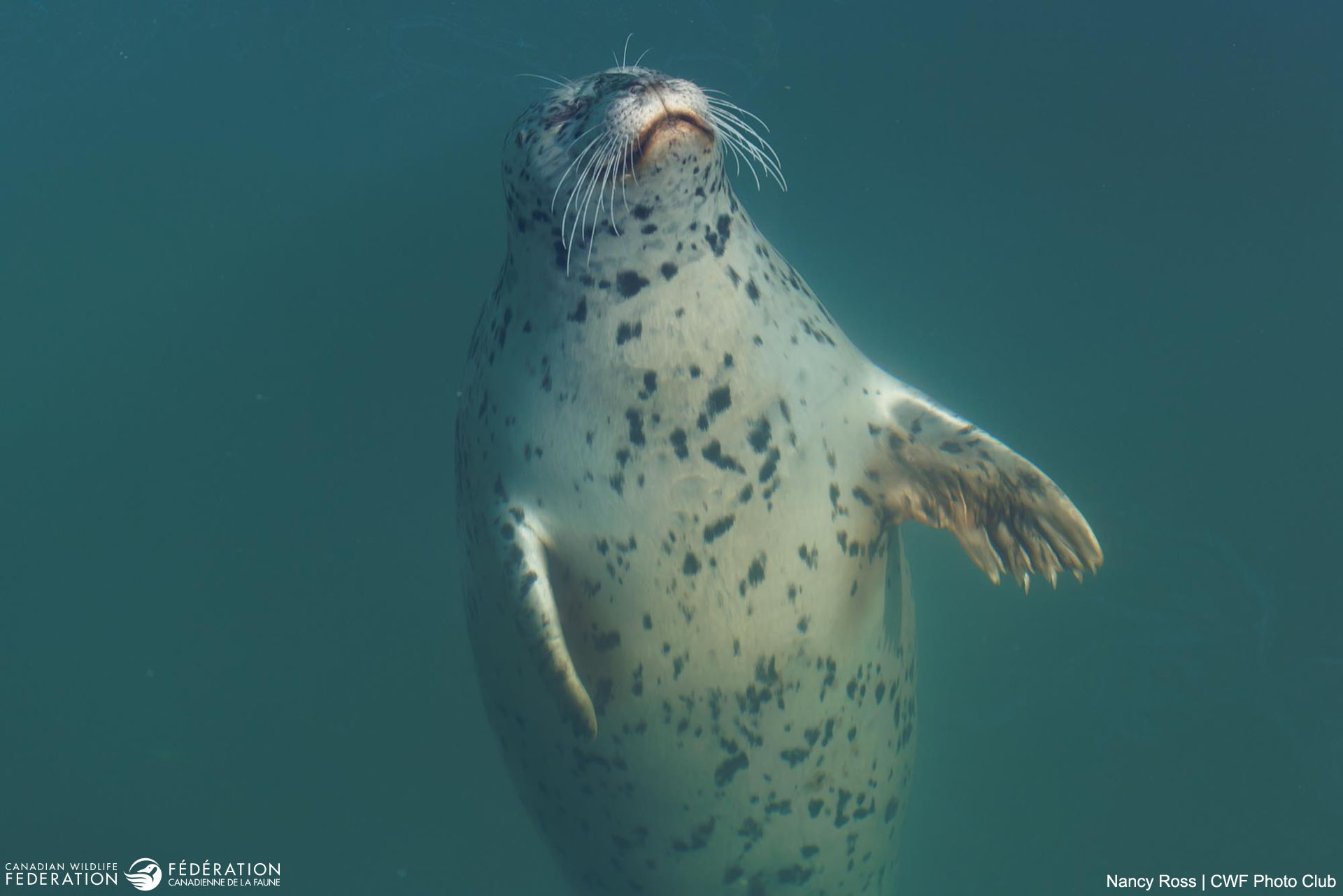 April - Happy Moment