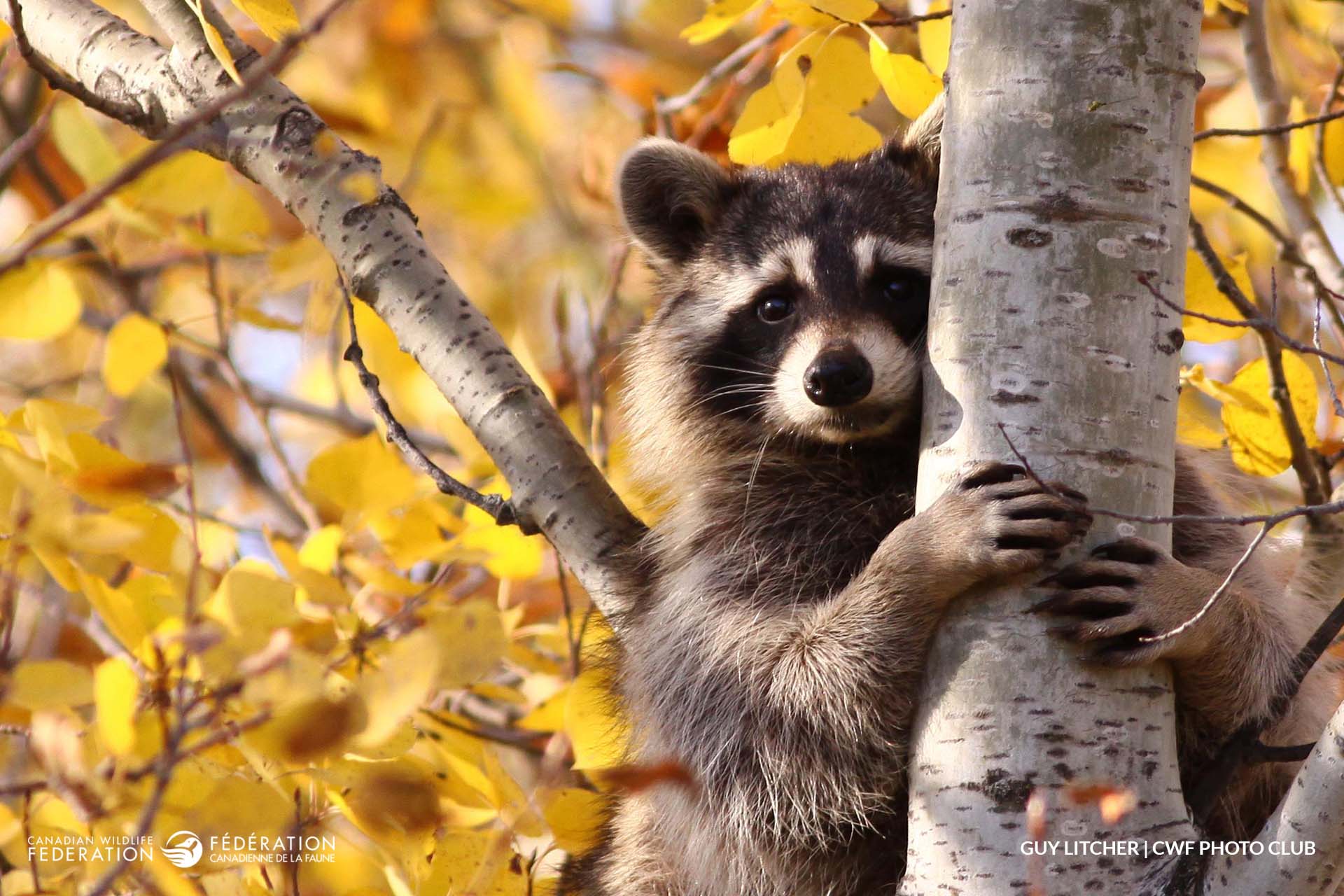 October - Seasonal Changes