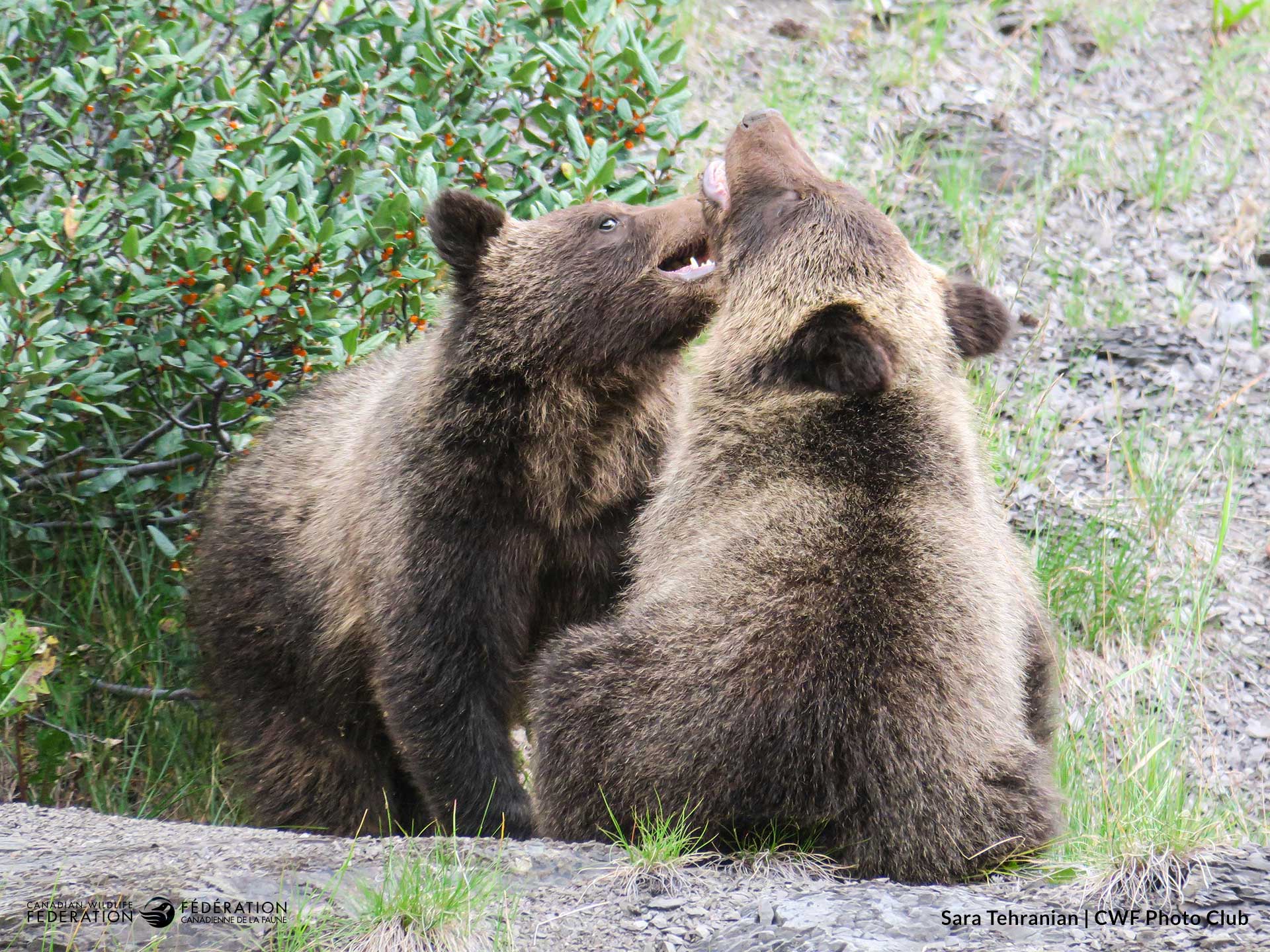 September - Playful Moments