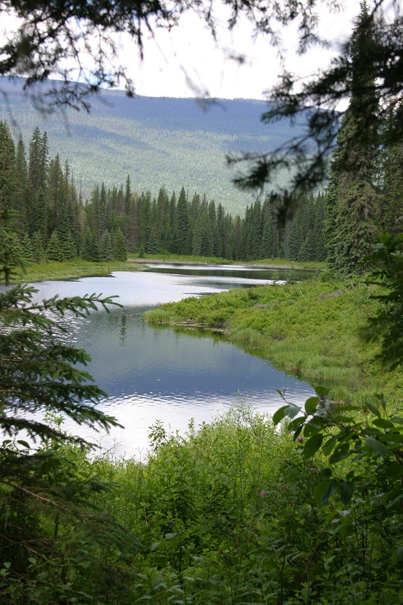 Alice Lake Provincial Park, BC