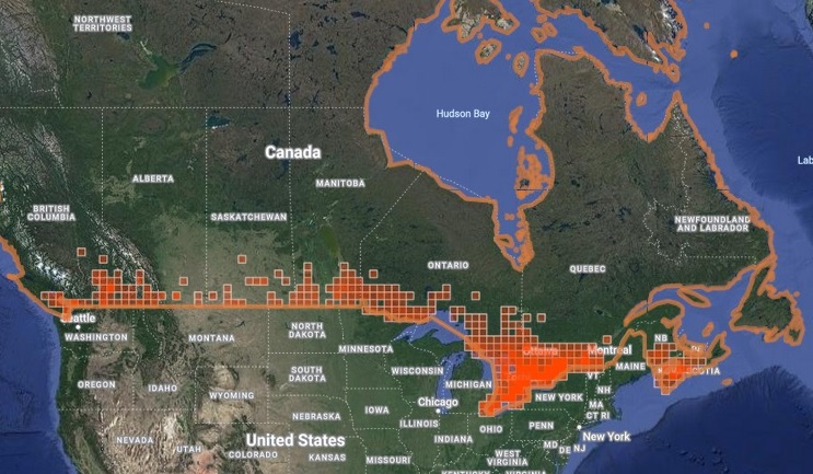 5 Reasons Why Canada Should Play A Role In Freshwater Turtle   Figure 1 Painted Turtle Map 