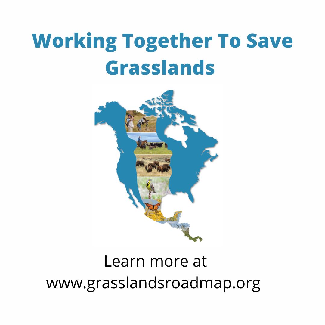 grasslands roadmap icon