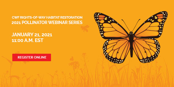 rights of way webinar jan 2021