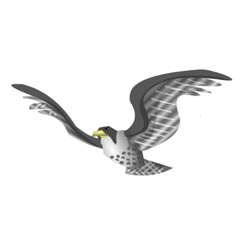 Illustration of a falcon