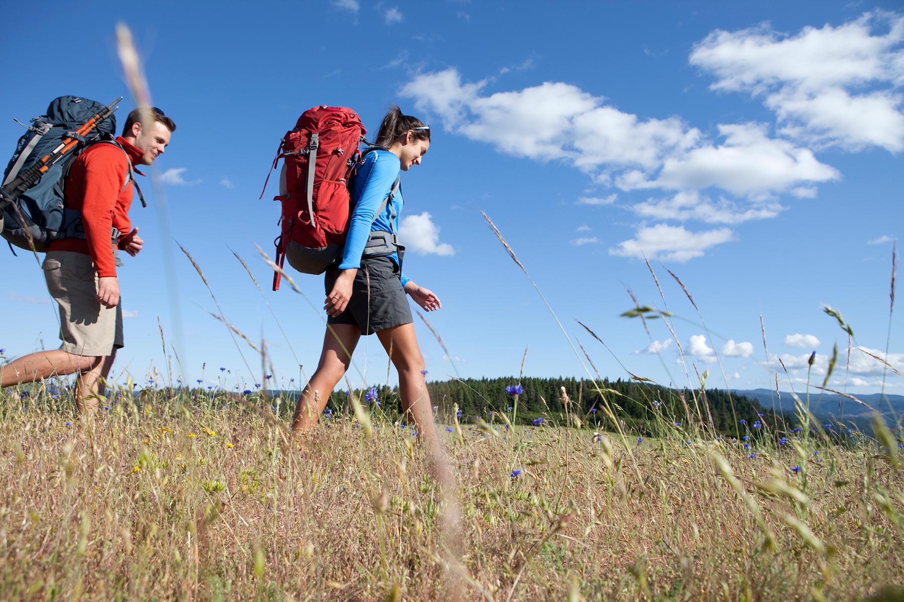 Hiking for Newbies