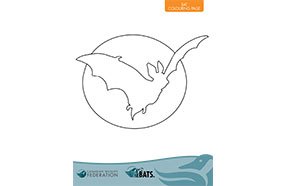 Bat colouring page