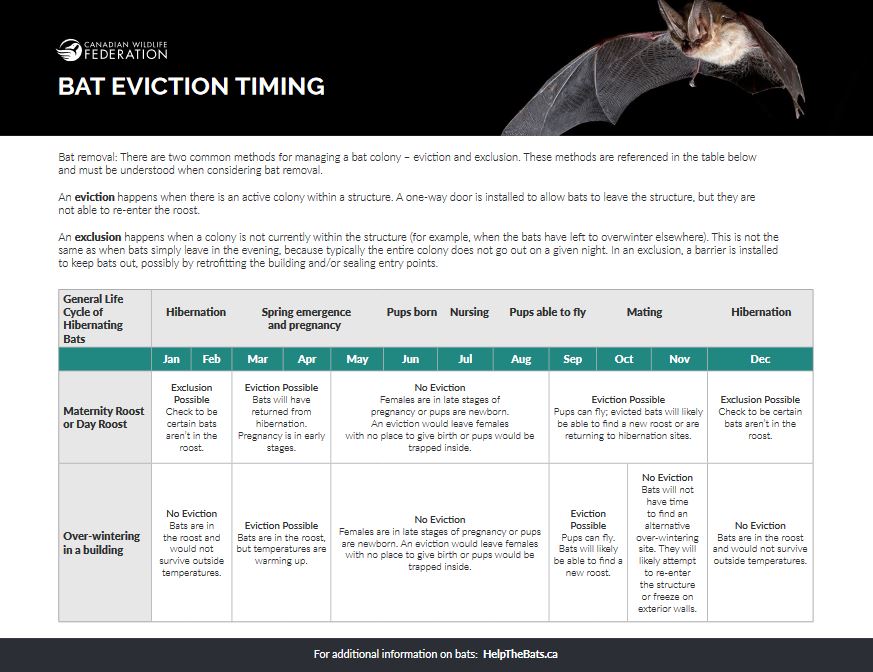 calendar graphic with eviction dates