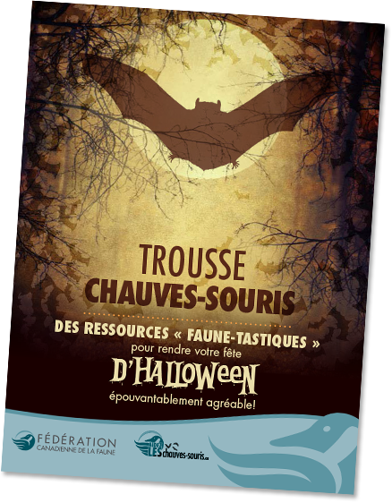 Bat in a box poster